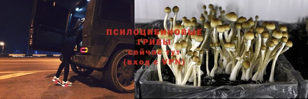spice Абинск