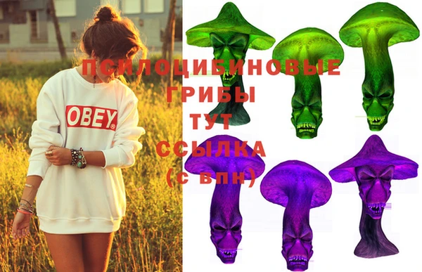 spice Абинск